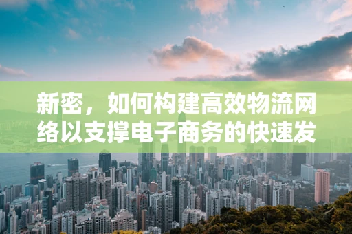 新密，如何构建高效物流网络以支撑电子商务的快速发展？