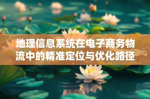 地理信息系统在电子商务物流中的精准定位与优化路径