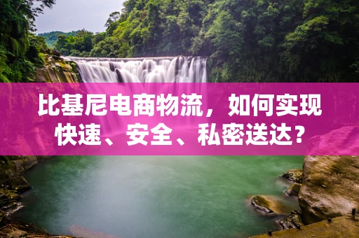 比基尼电商物流，如何实现快速、安全、私密送达？