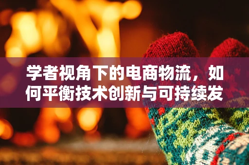 学者视角下的电商物流，如何平衡技术创新与可持续发展？