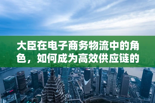 大臣在电子商务物流中的角色，如何成为高效供应链的智囊团？