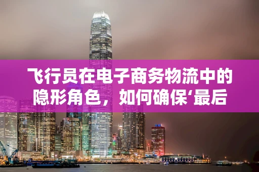 飞行员在电子商务物流中的隐形角色，如何确保‘最后一公里’的安全与效率？