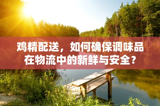 鸡精配送，如何确保调味品在物流中的新鲜与安全？