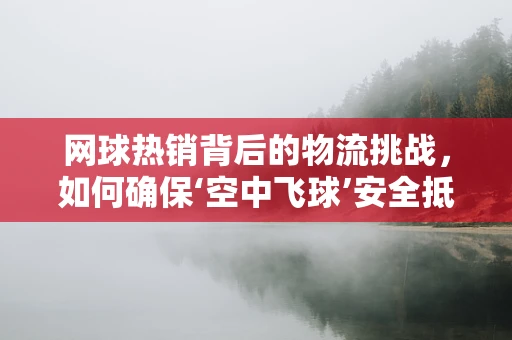 网球热销背后的物流挑战，如何确保‘空中飞球’安全抵达？