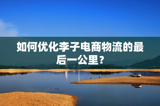 如何优化李子电商物流的最后一公里？