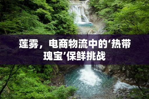莲雾，电商物流中的‘热带瑰宝’保鲜挑战