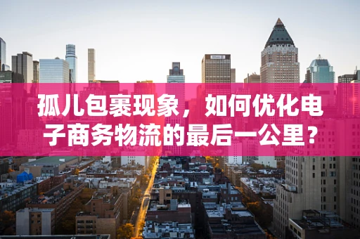 孤儿包裹现象，如何优化电子商务物流的最后一公里？