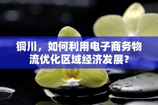 铜川，如何利用电子商务物流优化区域经济发展？