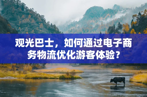 观光巴士，如何通过电子商务物流优化游客体验？