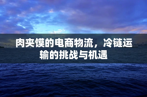 肉夹馍的电商物流，冷链运输的挑战与机遇