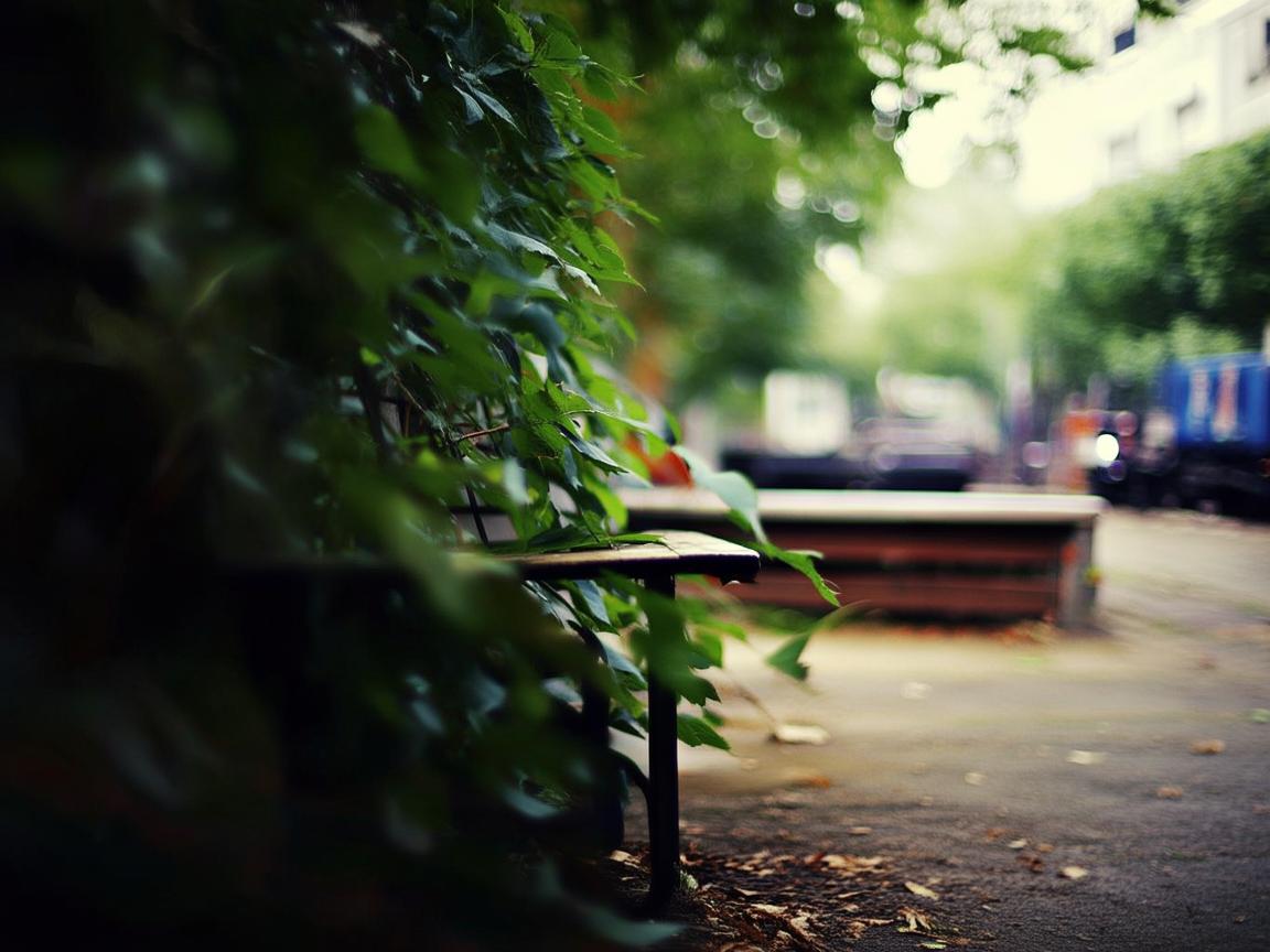 公园长椅,城市物流的隐秘角落 公园长椅,城市物流的隐秘角落